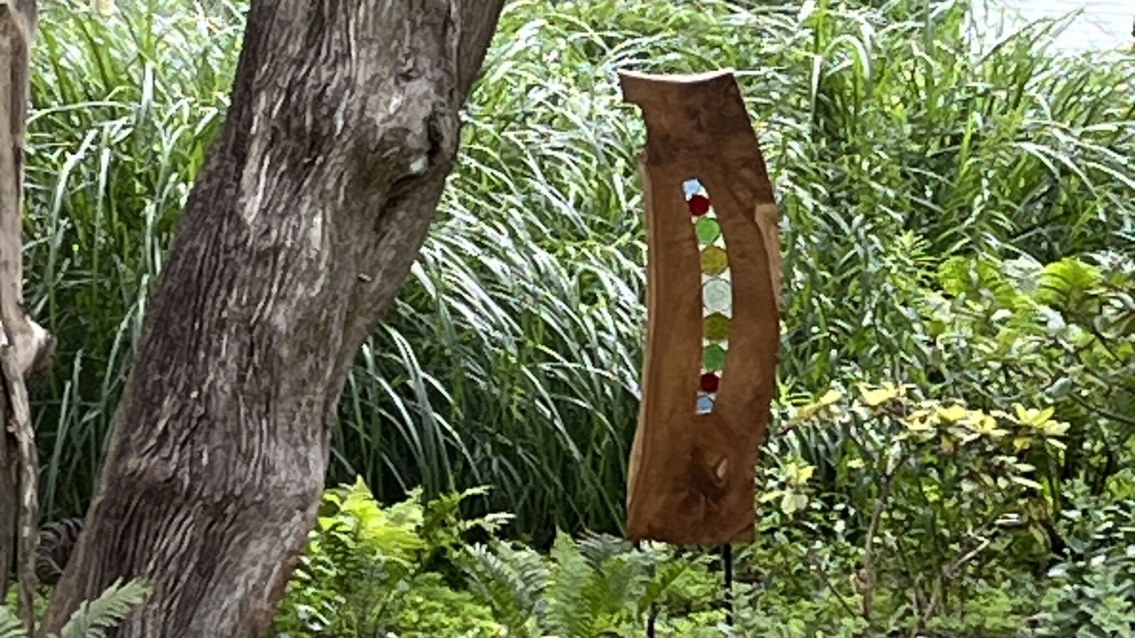 Photo of Outdoor in East Homer