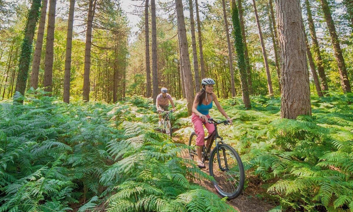 Photo of Others in Dukeries Mill