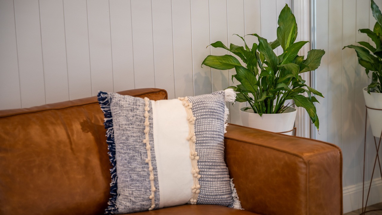 Photo of Others in Manly