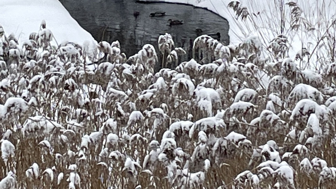 Photo of Outdoor in Saint-Sauveur