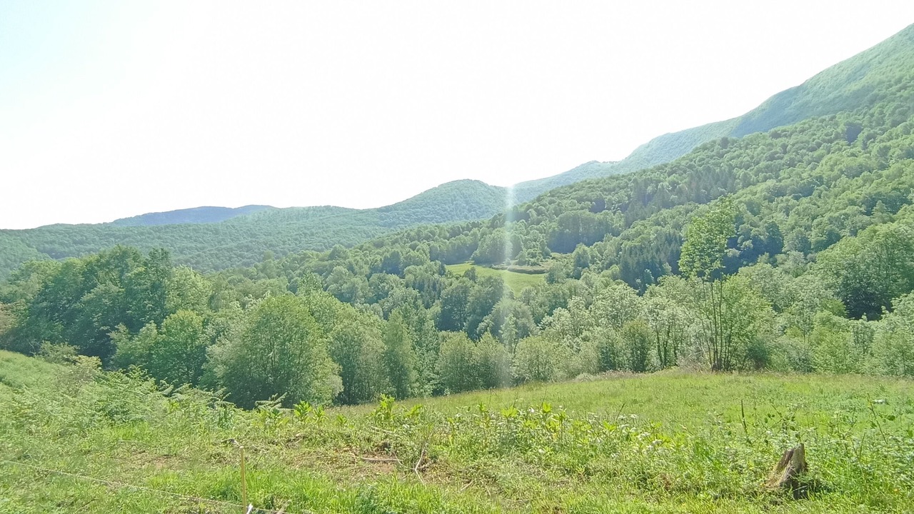 Photo of Others in Fougaron