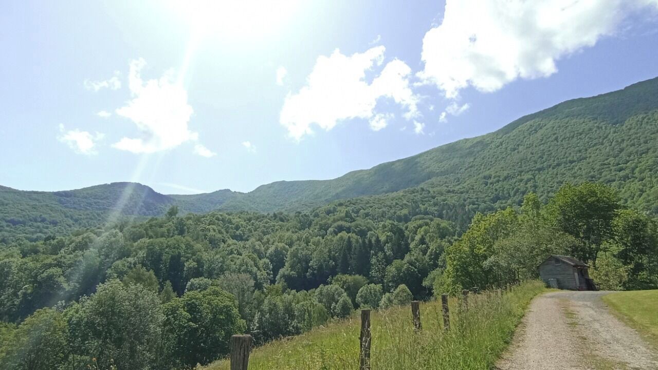 Photo of Outdoor in Fougaron