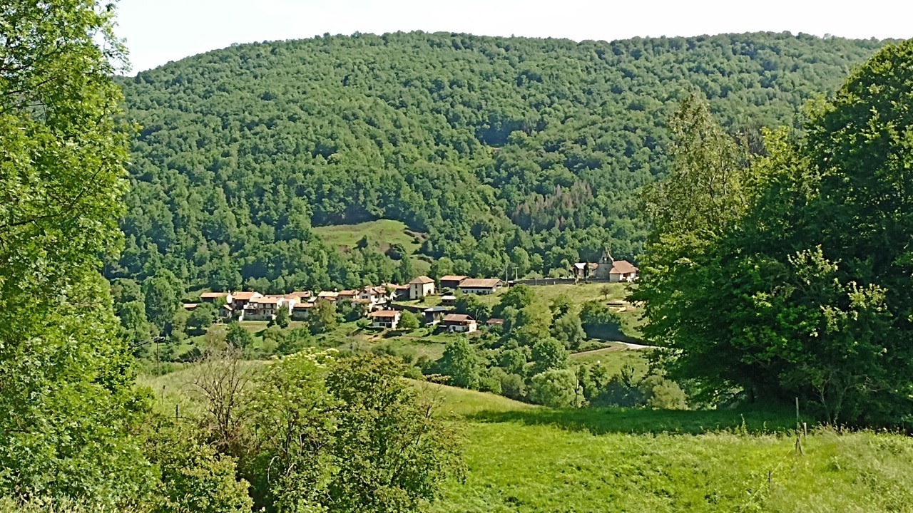Photo of Outdoor in Fougaron