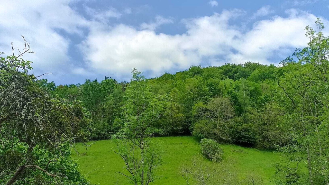 Photo of Outdoor in Fougaron