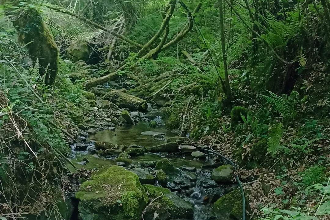 Photo of Outdoor in Fougaron