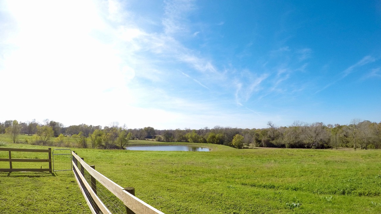 Photo of Outdoor in Sealy
