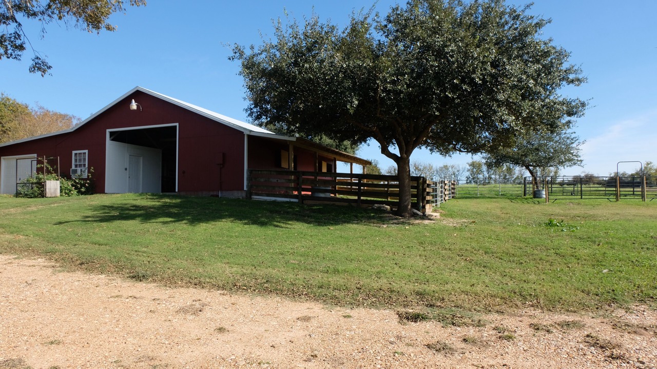 Photo of Outdoor in Sealy