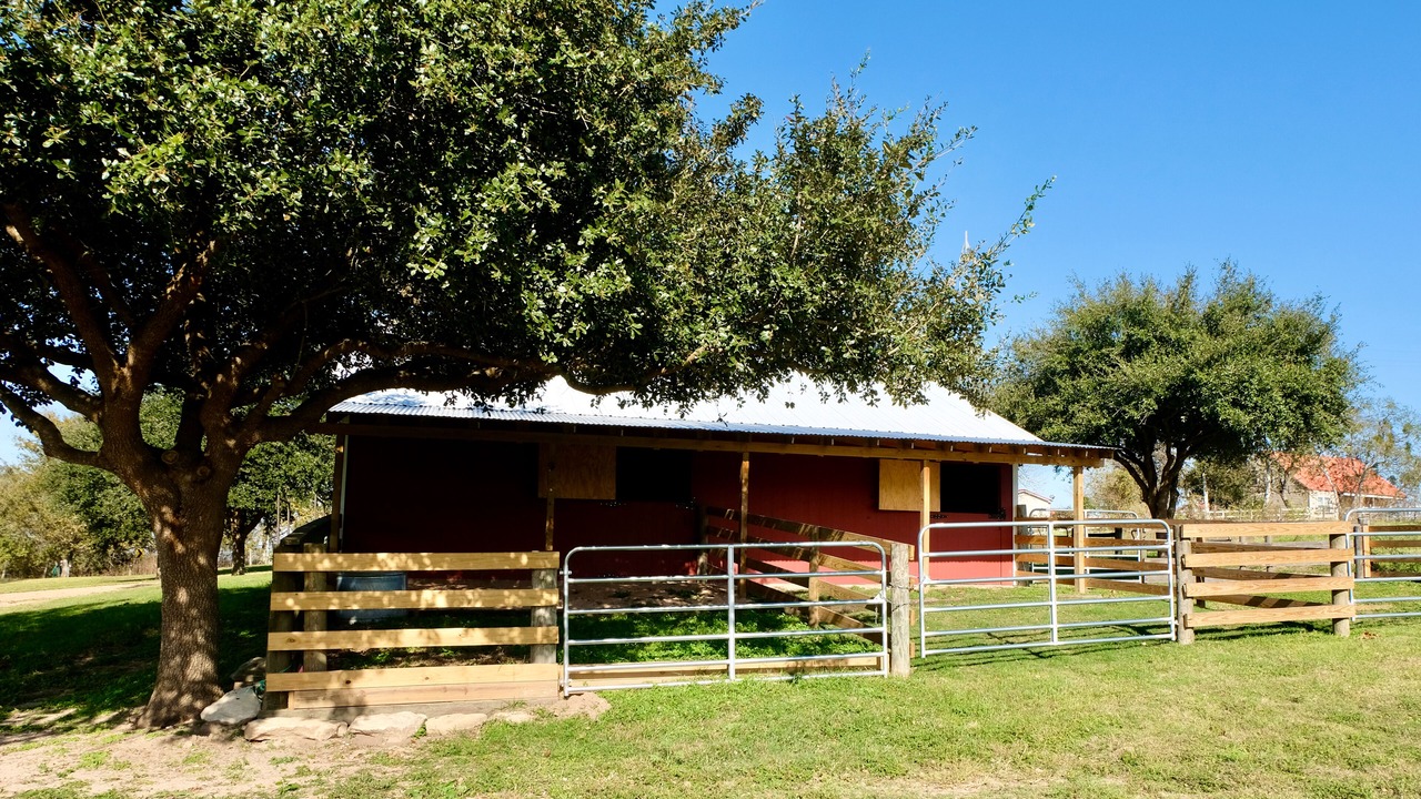 Photo of Outdoor in Sealy