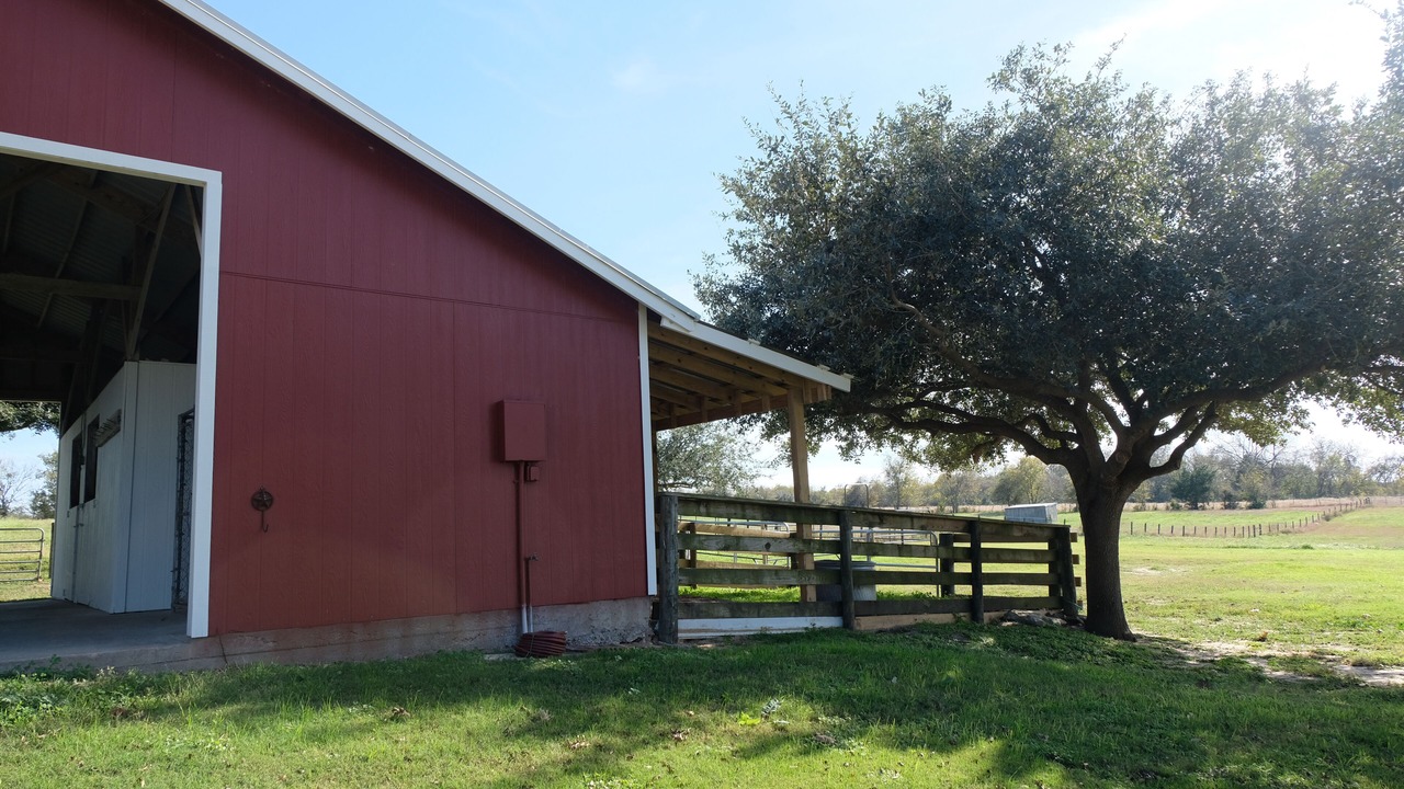 Photo of Outdoor in Sealy