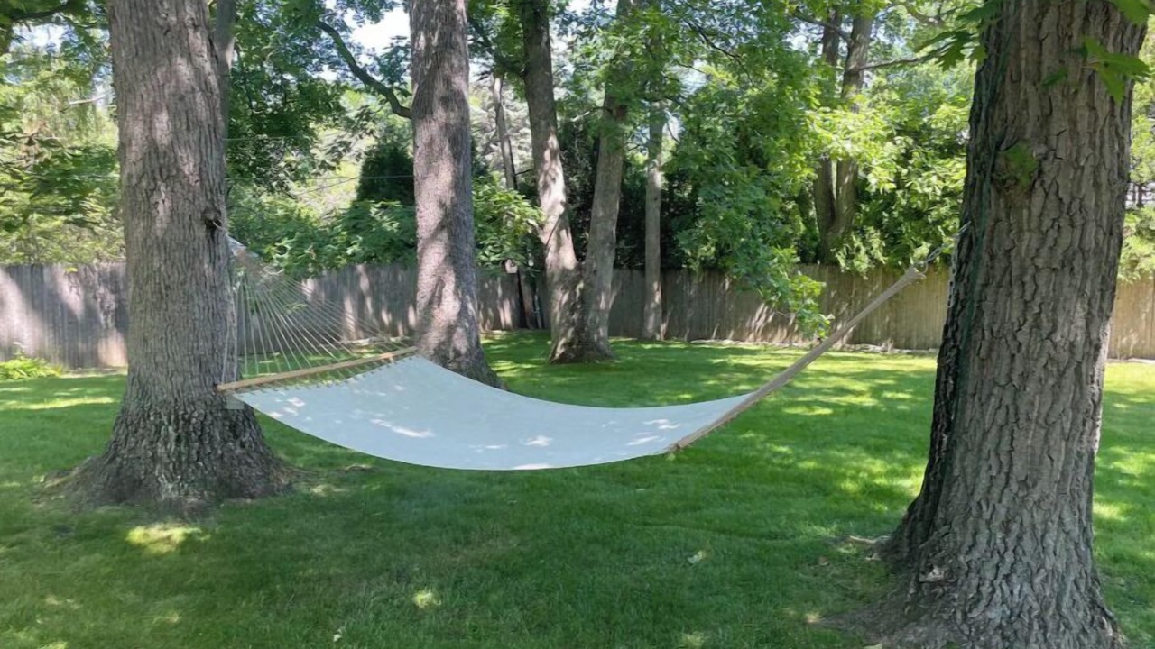 Photo of Outdoor in Lake Forest