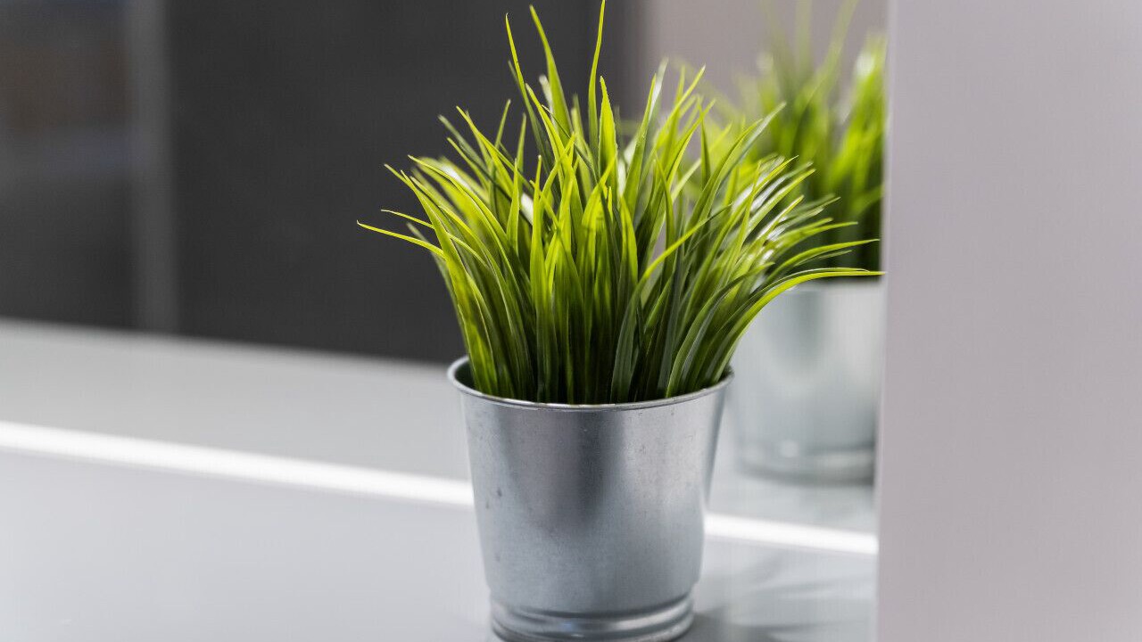 Photo of Others in Smethwick