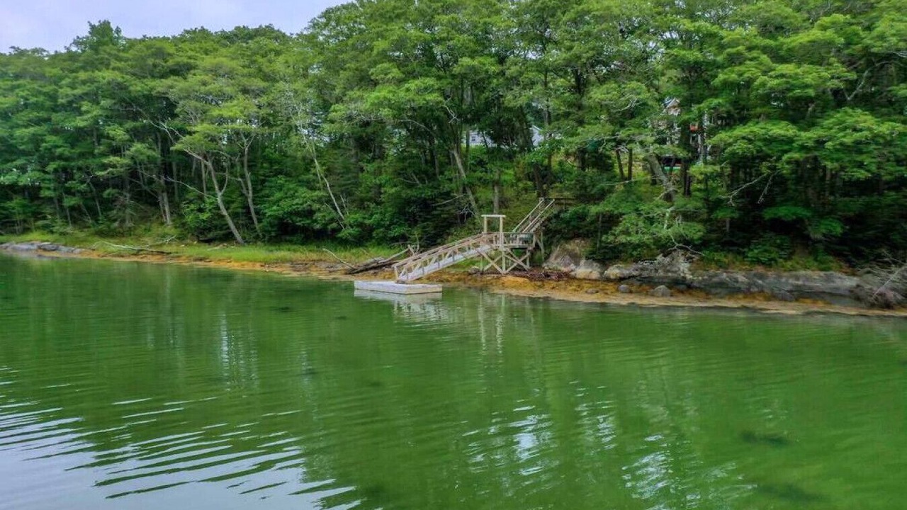 Photo of Others in Isle of Springs