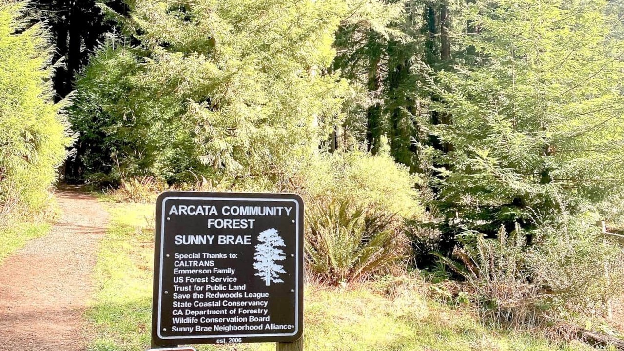 Photo of Others in Jacoby Creek