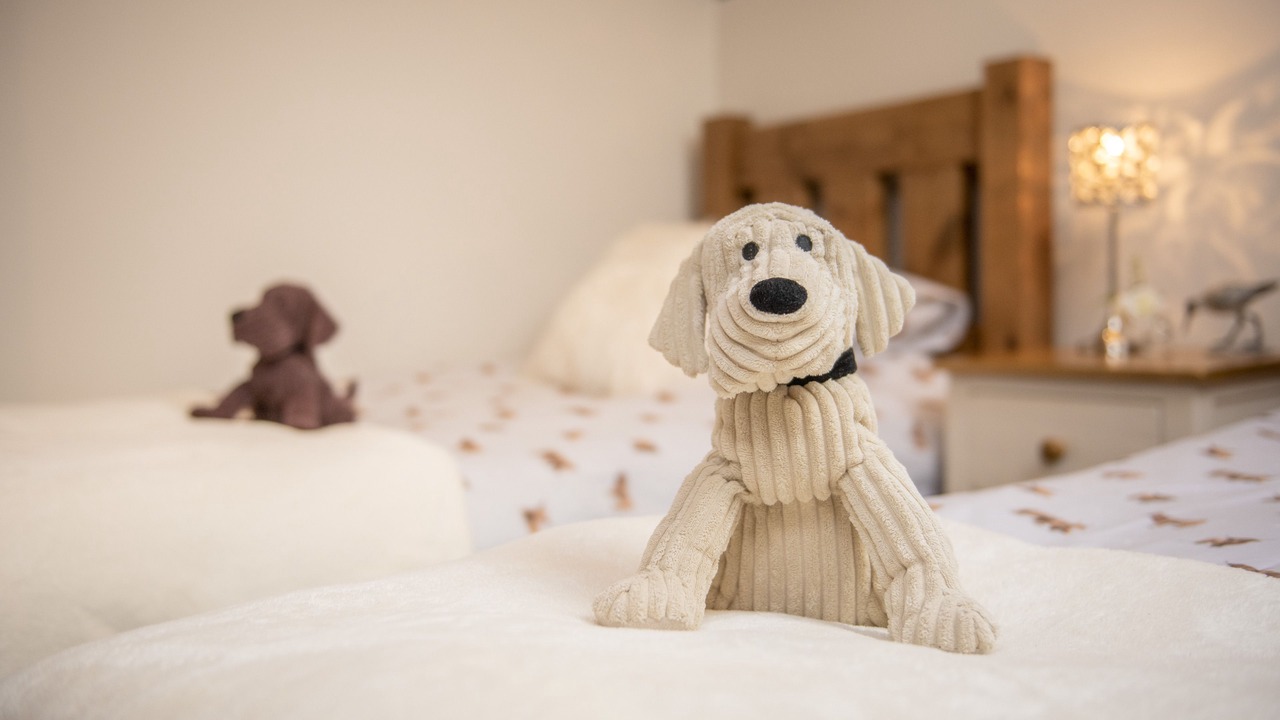 Photo of Others in Cattal