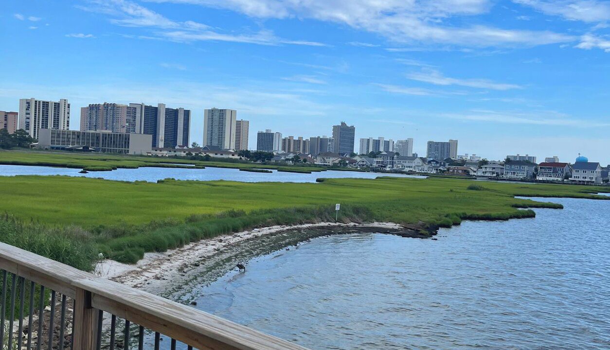 Photo of Others in North Ocean City