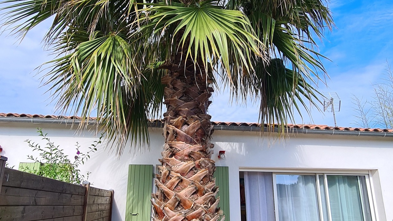 Photo of Patio Balcony in Le Bois-Plage-en-Re