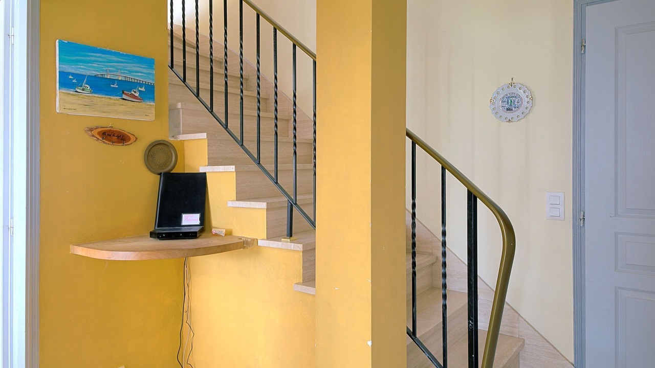 Photo of Others in Penvins