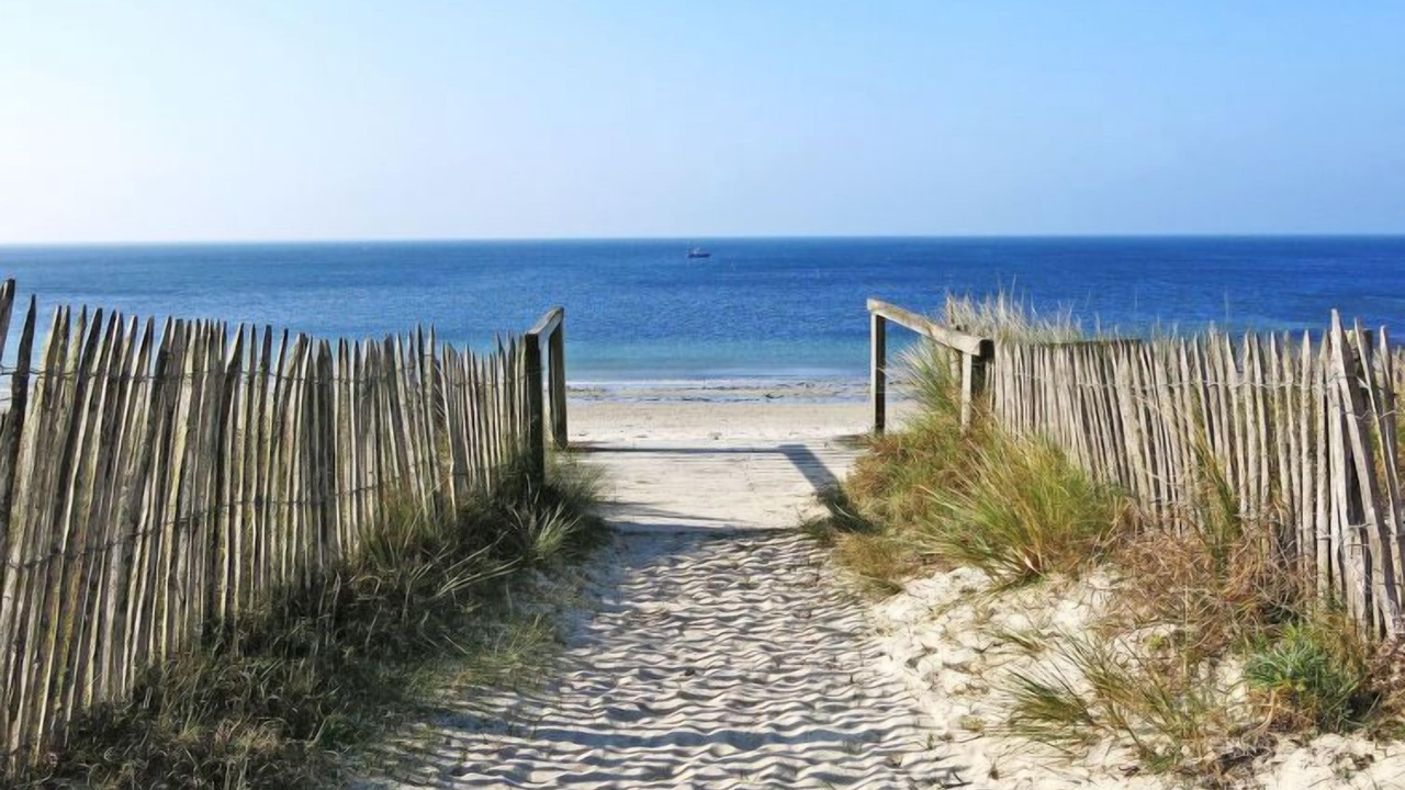 Photo of Others in Penvins