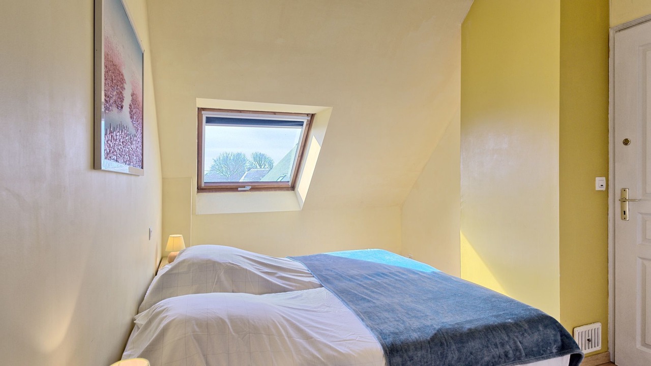 Photo of Others in Penvins