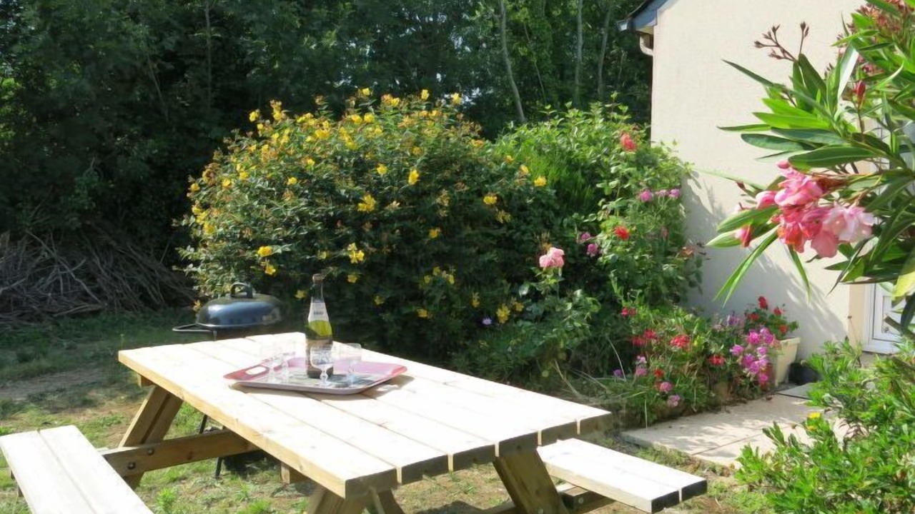 Photo of Others in Penvins