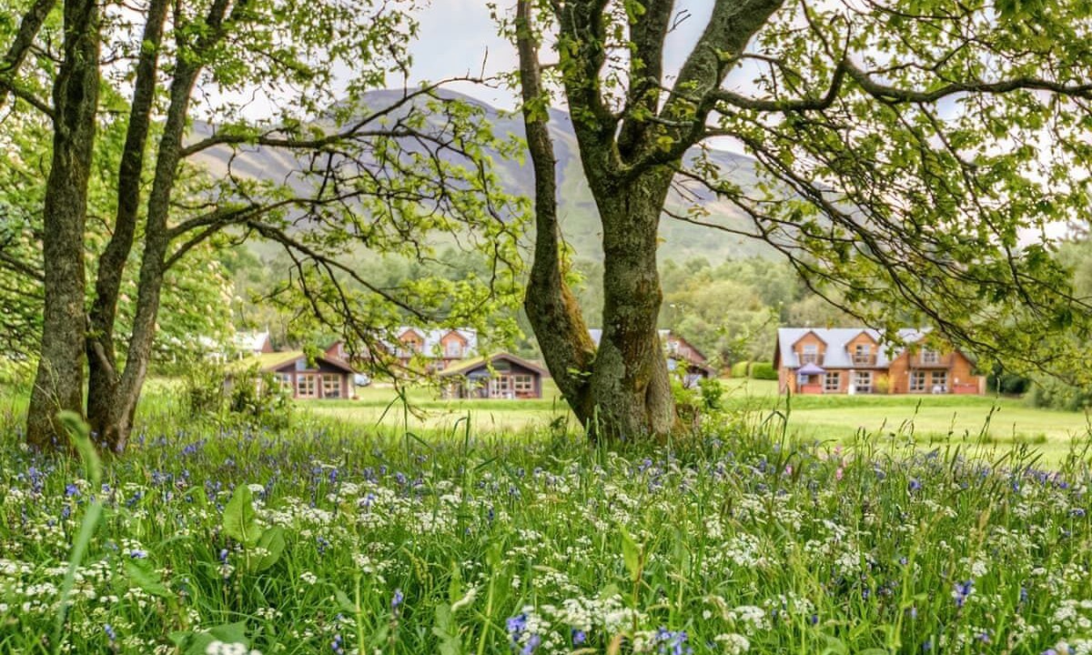 Photo of Others in Balmaha