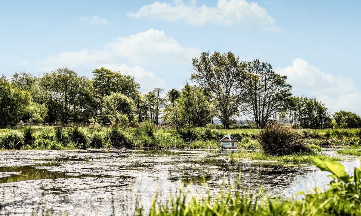 Photo of Others in Balmaha