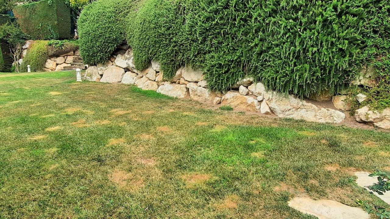 Photo of Outdoor in Llanca