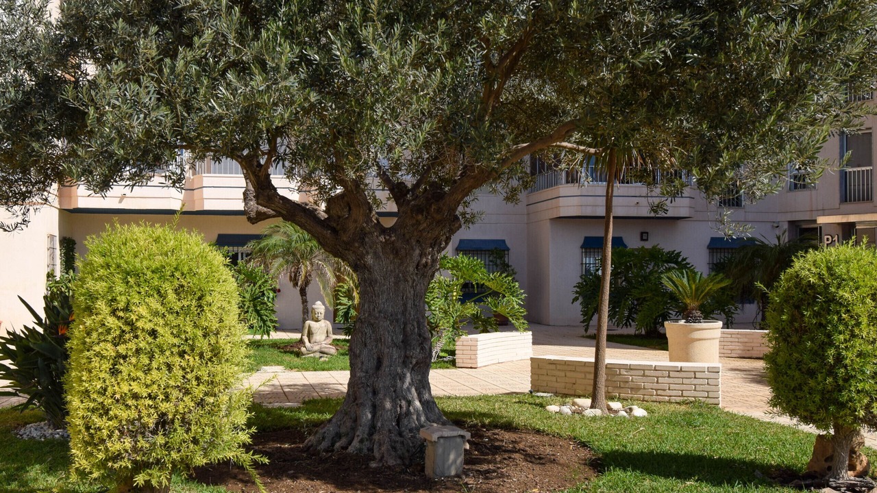 Photo of Outdoor in Torreblanca