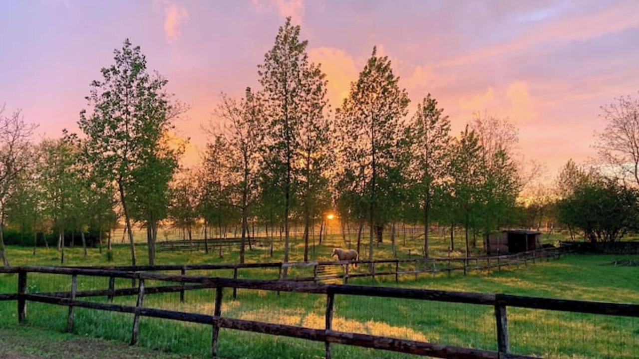 Photo of Outdoor in Saint-Hilaire-Saint-Mesmin