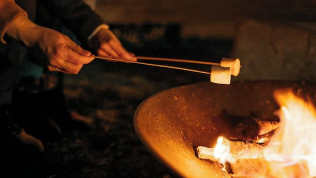 Photo of Others in Saint-Hilaire-Saint-Mesmin