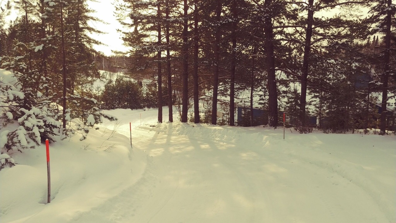 Photo of Others in Saint-David-de-Falardeau