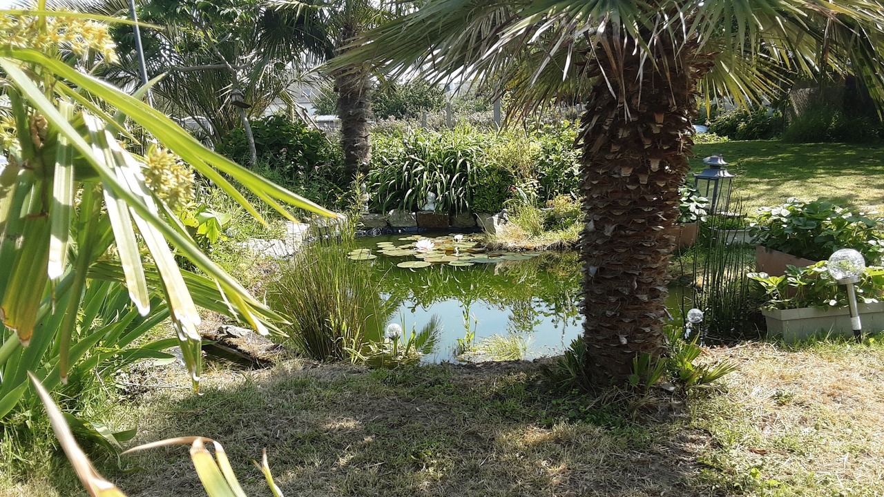 Photo of Outdoor in Saint-Lunaire