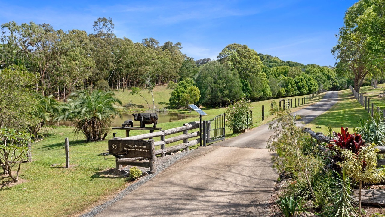 Photo of Outdoor in Cooroy Mountain
