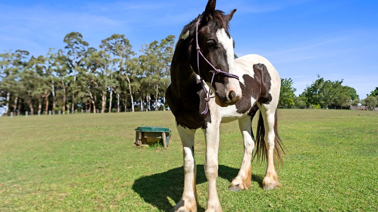 Photo of Outdoor in Cooroy Mountain