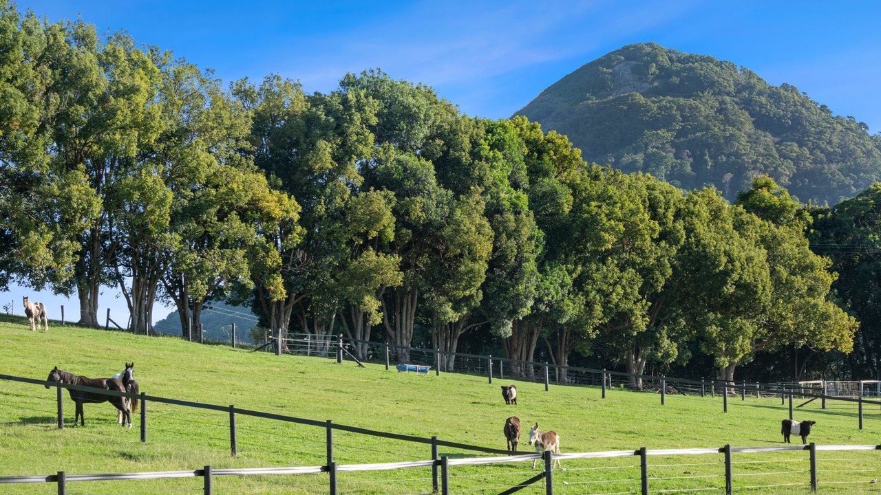 Photo of Outdoor in Cooroy Mountain