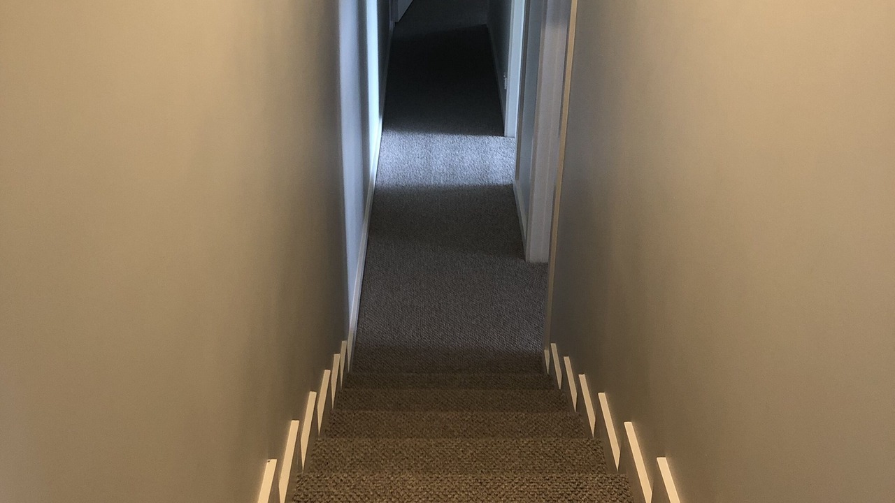 Photo of Others in Goughs Bay