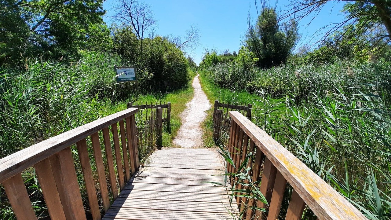 Photo of Outdoor in Saint-Hippolyte