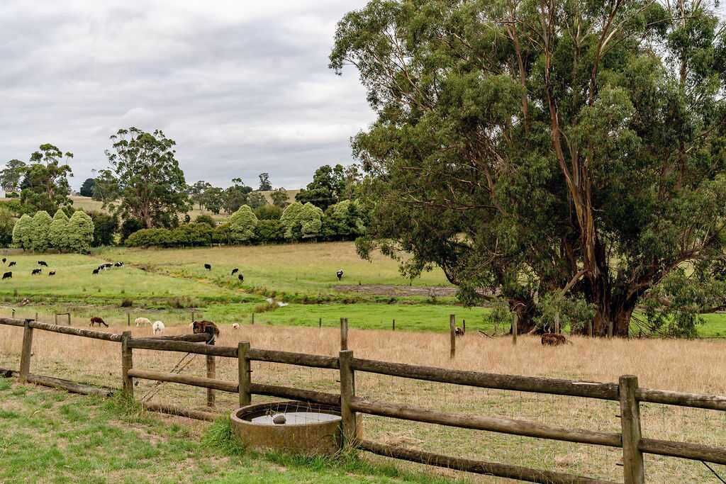 Photo of Others in Warragul South