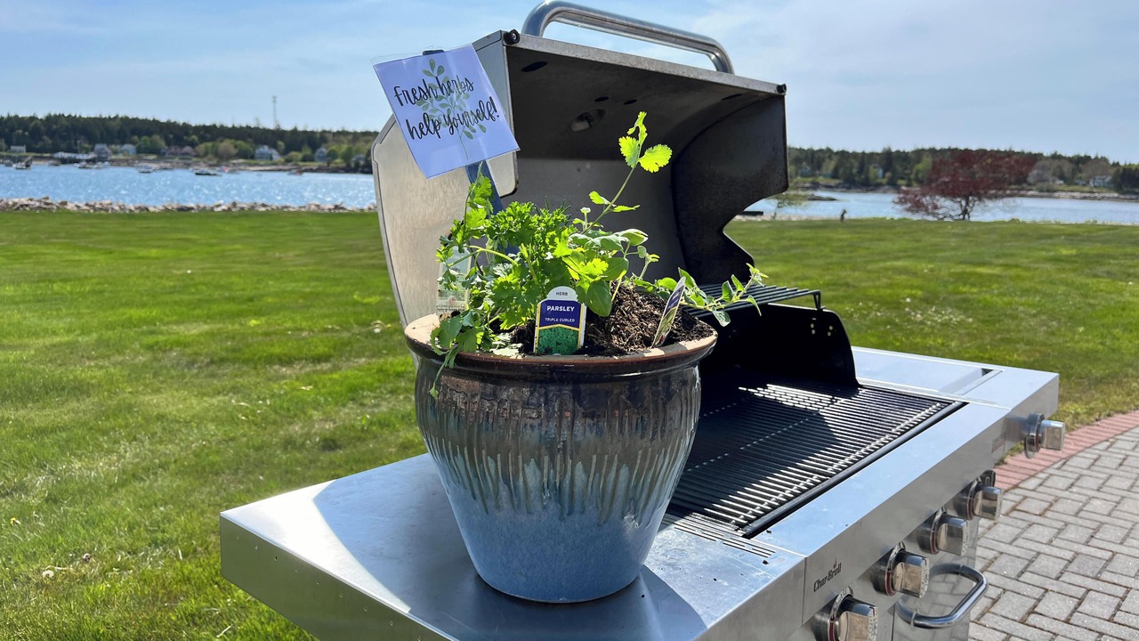 Photo of Outdoor in Prospect Harbor