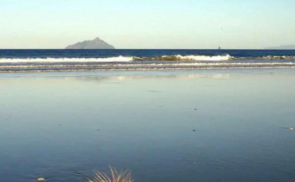 Photo of Others in Ruakaka