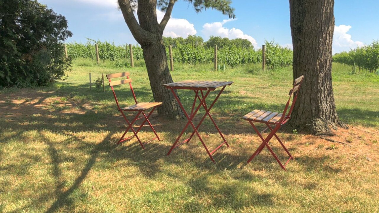 Photo of Outdoor in Virgil