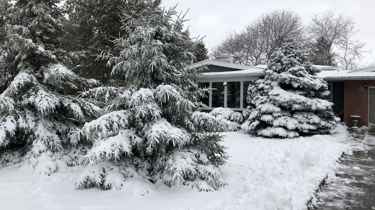 Photo of Outdoor in Virgil