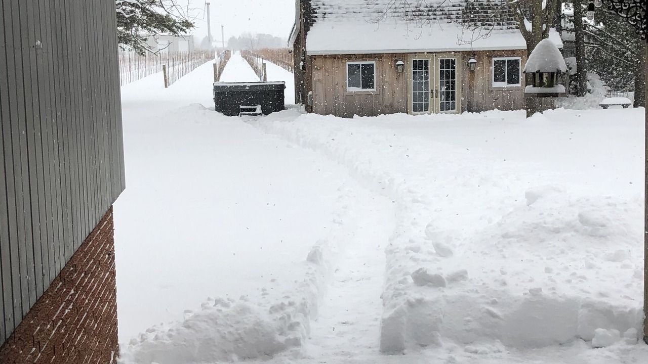 Photo of Outdoor in Virgil