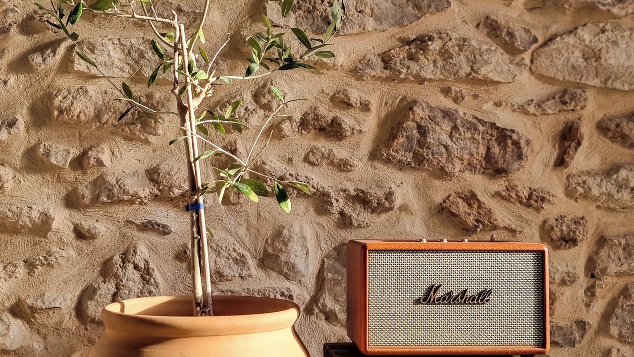 Photo of Outdoor in Tortosa