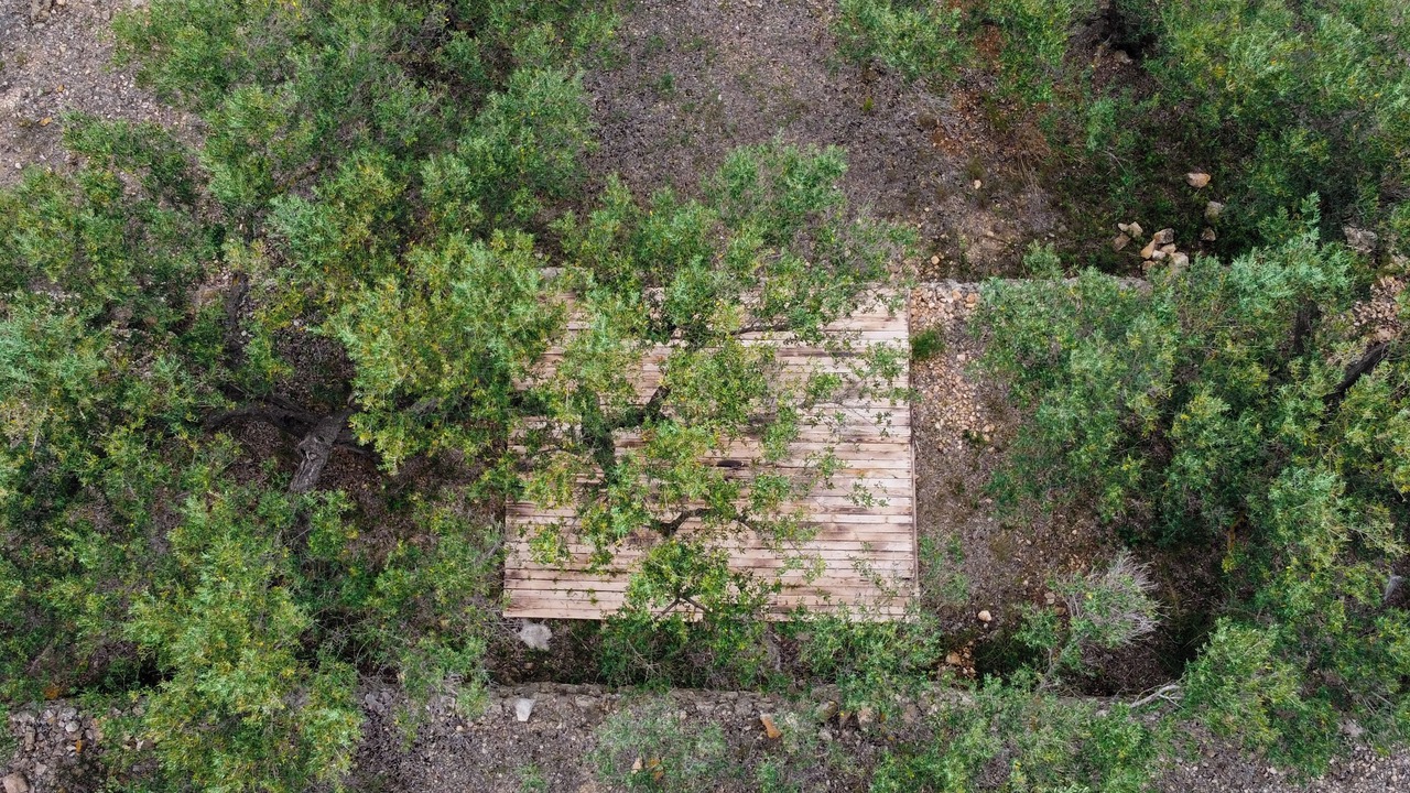 Photo of Others in Tortosa