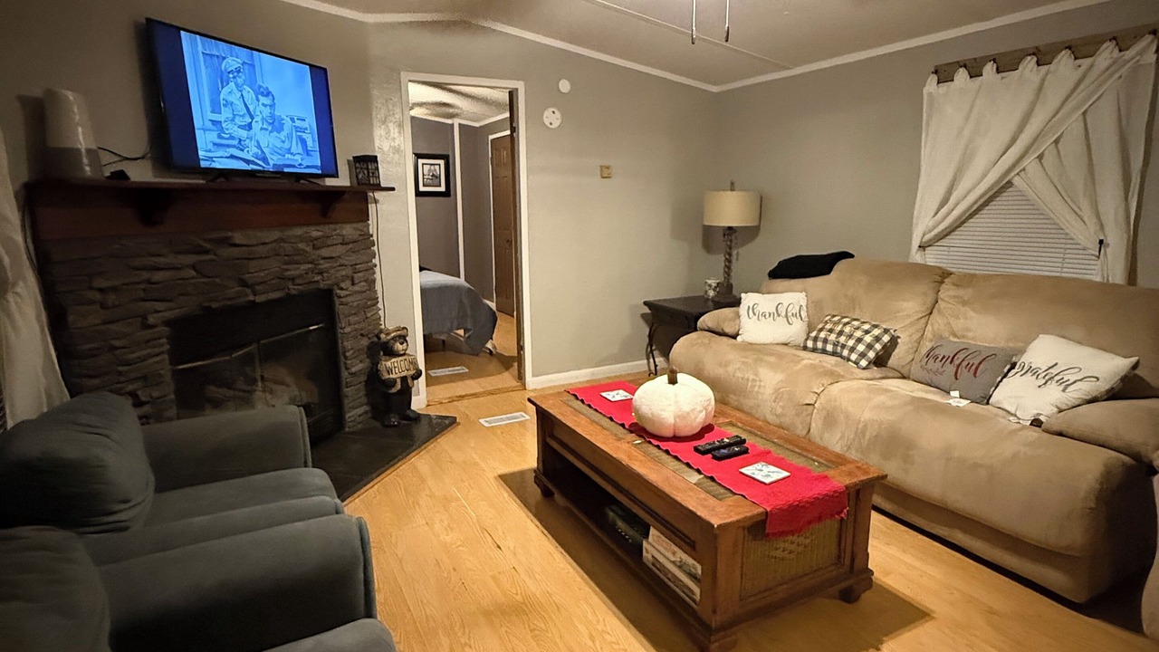 Photo of Livingroom in Vein Mountain