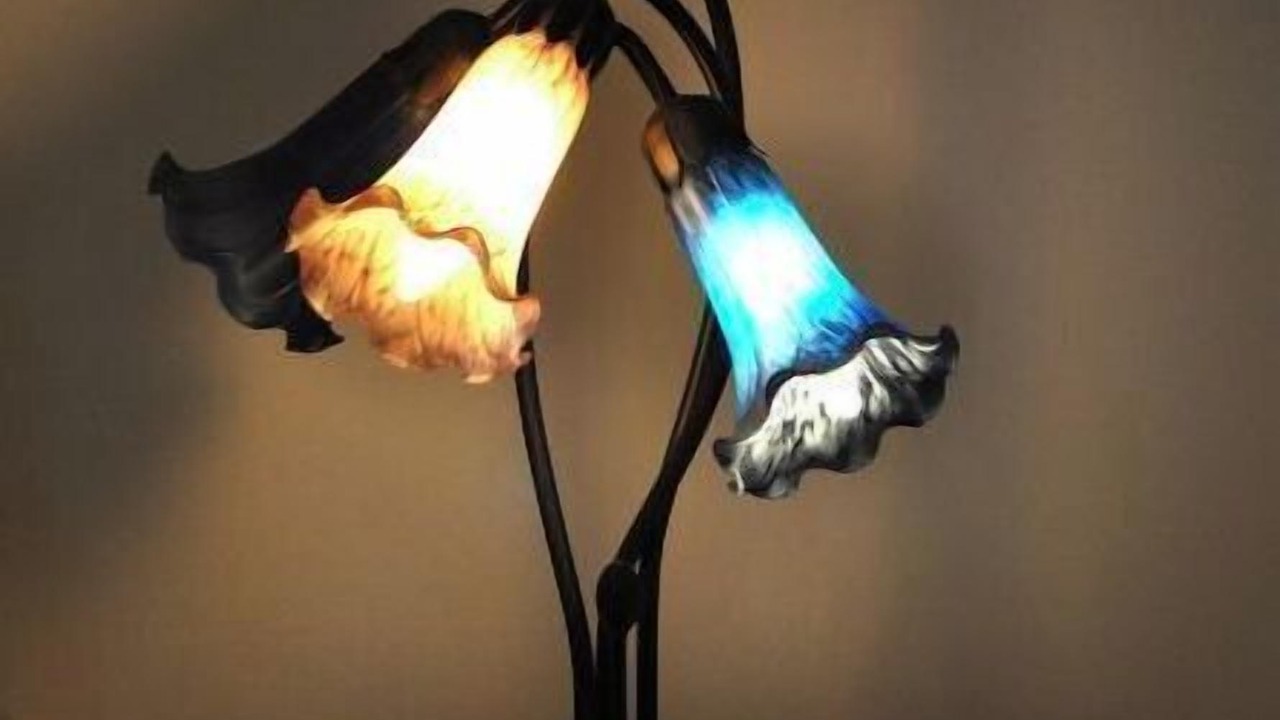 Photo of Others in Aubigny-sur-Nere