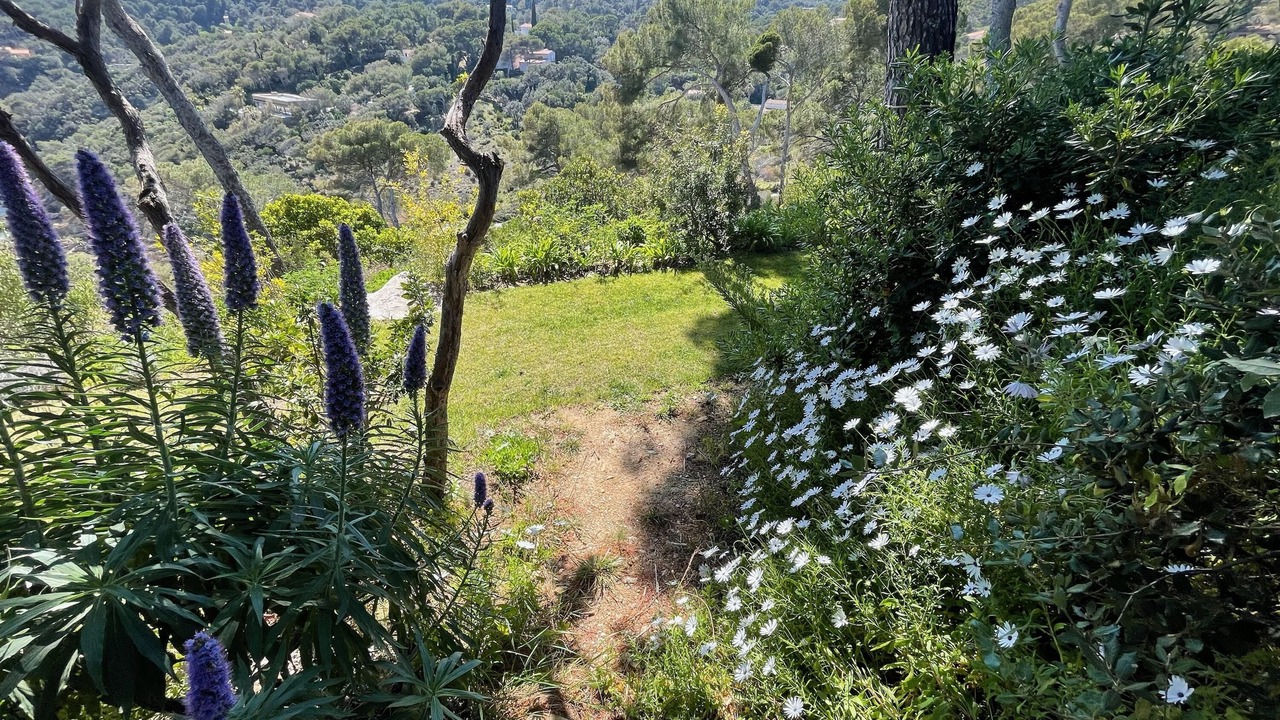 Photo of Outdoor in Cap Benat