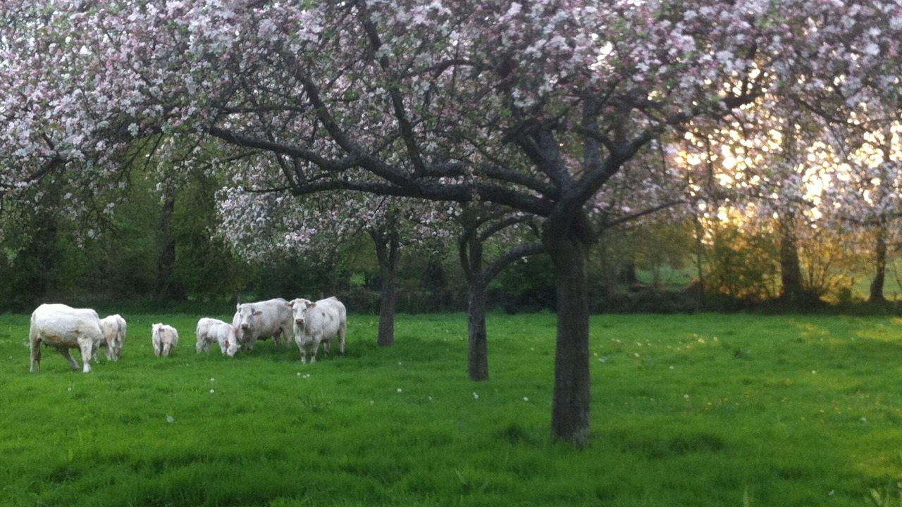 Photo of Outdoor in Beauval-en-Caux