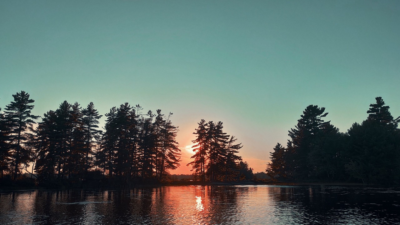 Photo of Outdoor in Broadbent